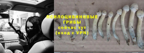 ГАЛЛЮЦИНОГЕННЫЕ ГРИБЫ Нефтегорск
